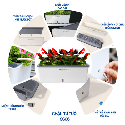 Chậu trồng cây tự tưới hình chữ nhật MONROVIA SC06, chất liệu PP cao cấp, phù hợp trồng hoa, rau