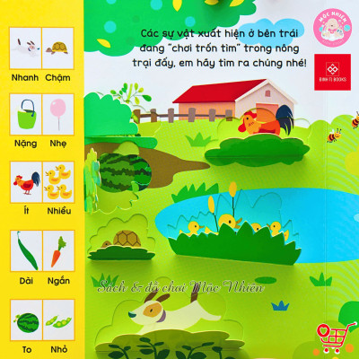 Sách tương tác - Lift the flap - Lật mở khám phá - So sánh - Đinh Tị Books