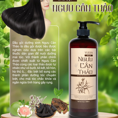 [Thảo Dược Thật] Dầu gội bồ kết, dầu gội thảo dược phụ hồi tóc, ngăn ngừa gãy rụng - Ngưu Cân Thảo Chai 1000ml