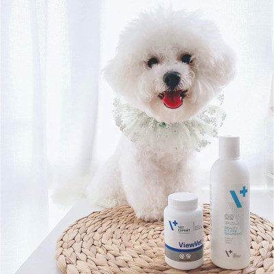 [Hộp 60 viên dầu] Vet Expert VetoSkin Sản phẩm bổ sung cho chó mèo giúp hỗ trợ các vấn đề về da