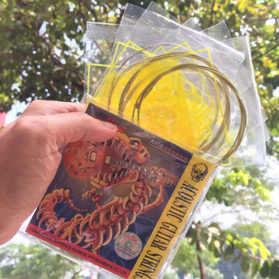 Bộ 3 phụ kiện guitar Capo PBA05BK Đen+ Dâyguitar acoustic A406+Máy lên dây +Tặng pick gảy