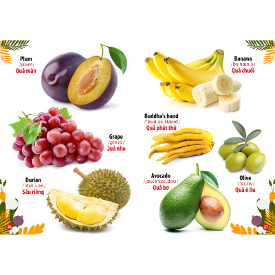 Từ Điển - Thư Viện hình Ảnh Đầu tiên của bé - Thế Giới Động Vật - Chữ Cái Và Số Đếm - Hoa Rau Củ Quả ( bộ 3 cuốn )