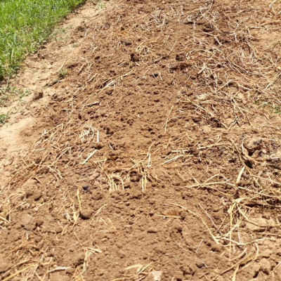 BỘT MẦM ĐẬU NÀNH NGUYÊN CHẤT MẸ KEN 1ký - nở nang săn chắc vòng 1, giảm nám sạm da