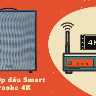 Dàn âm thanh di động xách tay ACNOS KSNET550