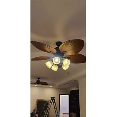 Quạt trần cánh lá cọ có 5 chao đèn Klasse - Hàng chính hãng