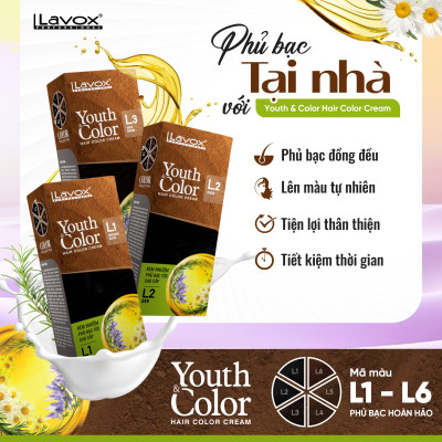 Nhuộm Phủ Bạc Cao Cấp Lavox 60ml x 2 - L3 - Nâu Hạt Dẻ