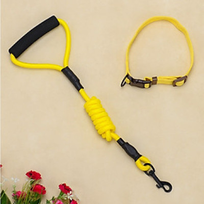 Dây Dắt Chó Mèo Có Tay Xốp Trợ Lực Kèm Vòng Cổ ZiChen Dài 1,2m