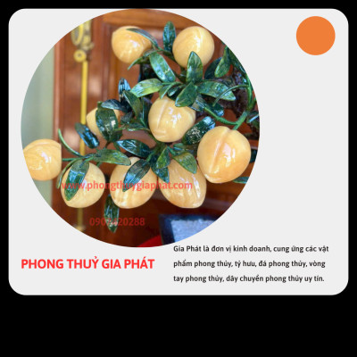 Cây đào phong thuỷ đá ngọc hoàng long 18 quả, quả to|phongthuygiaphat