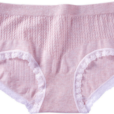 Combo 5 Quần Lót Nữ xuất Nhật 100% Cotton Sợi Tre Kháng Khuẩn Tốt