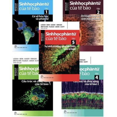Sách - Sinh Học Phân Tử Của Tế Bào - Tập 1, 2, 3, 4, 5 .... (NXB Trẻ)
