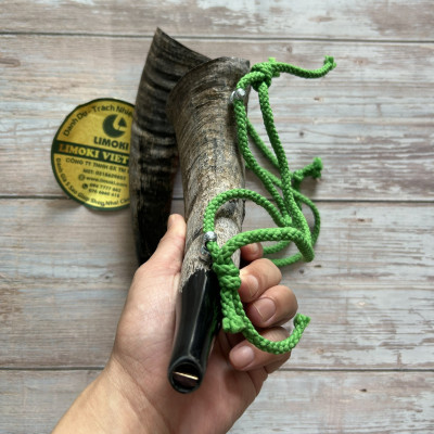 Tù Và Bằng Sừng Trâu Thô