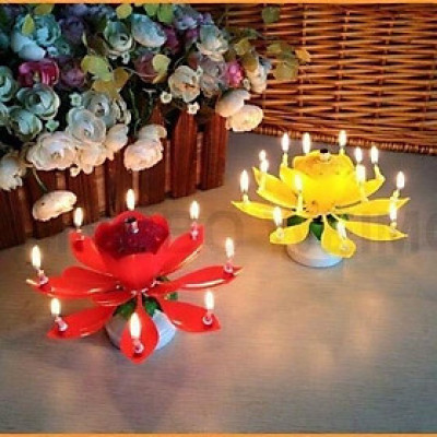 NẾN SINH NHẬT 3D TỰ ĐỘNG - Nến nở hoa