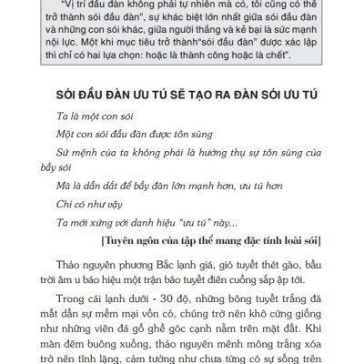 Trí Tuệ Loại Sói (Tái Bản)