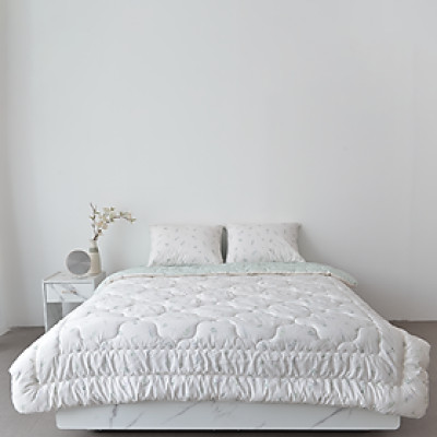 Chăn Chần Bông Arize Vải Microfiber Sylvia Green 1.5mx2m, 2mx2.2m