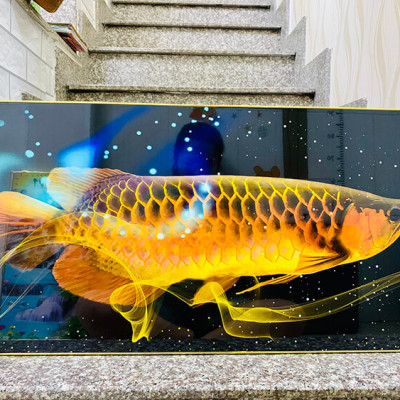 TRANH TRÁNG GƯƠNG - TRANH PHONG THUỶ - TRANH TREO PHÒNG KHÁCH - TRANH TRÁNG GƯƠNG CÁ RỒNG PHONG THUỶ(TẶNG KÈM ĐINH 3 CHÂN)