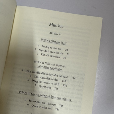 CẢM XÚC - CẢM XÚC CHI PHỐI TƯ DUY NHƯ THẾ NÀO - Leonard Mlodinow - Phạm Văn Thiều, Phạm Thu Hằng - NXB Trẻ 