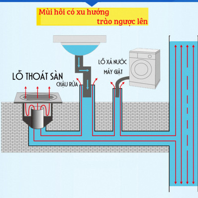 Bộ thoát nước máy giặt, thoát nước thải kiêm chống mùi hôi, ngăn côn trùng trào ngược – Bộ chia 2, MIHOCO 21