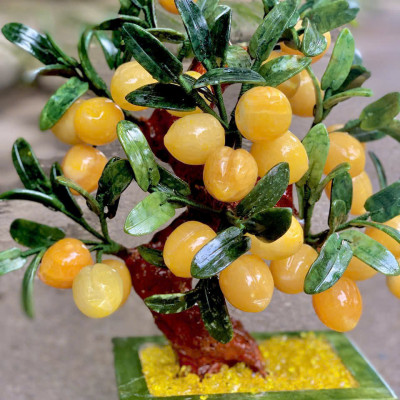 Cây đào phong thuỷ ngọc hoàng long 28 quả|phongthuygiaphat