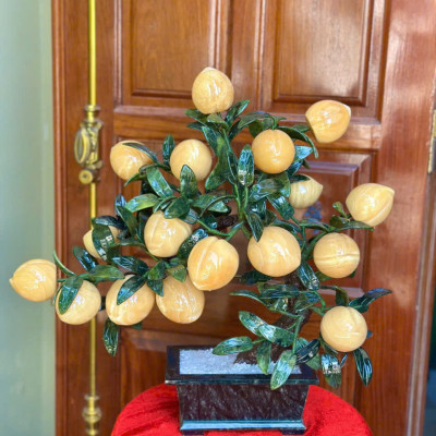 Cây đào phong thuỷ đá ngọc hoàng long 18 quả, quả to|phongthuygiaphat