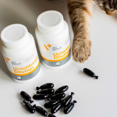 [Hộp 45 viên] Sản phẩm hỗ trợ điều trị sỏi thận Struvite cho mèo UrinoVet Cat Dilution