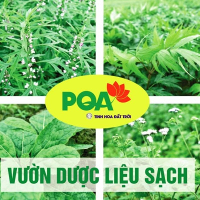 Siro Tam Hoàng Giải Độc PQA chai 125ml là dược phẩm thảo dược giúp thanh nhiệt, giải độc, hỗ trợ điều trị nhiệt miệng, nóng trong.