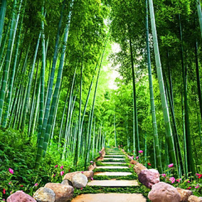 Tranh Dán Tường LN 0350