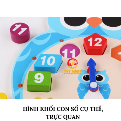 Đồng Hồ Phân Biệt Màu Sắc Hình Khối Con Cú Con Ếch Tuệ Minh Giúp Bé Học Xem Giờ