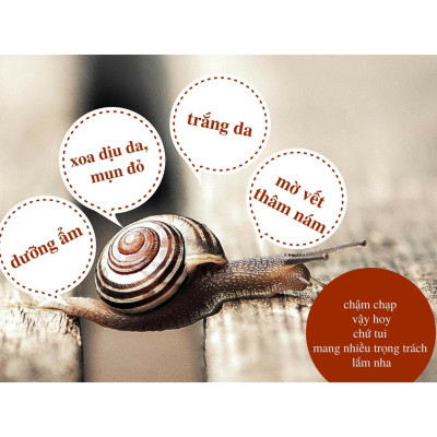 Kem Ốc Sên Dưỡng Da Ban Đêm Thorakao 30g