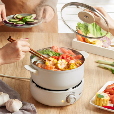 Nồi Điện Đa Năng BEAR DHG-B25Z1, Dung Tích 2.5L, Công Suất 800W - Hàng Chính Hãng