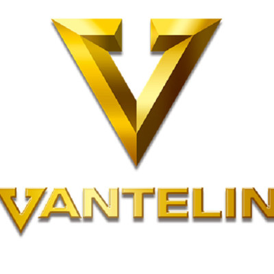 Băng Bảo Vệ Khớp Khuỷu Tay Vantelin Elbow Support Size L