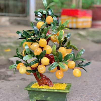 Cây đào phong thuỷ ngọc hoàng long 28 quả|phongthuygiaphat