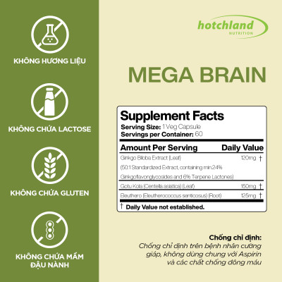 Viên uống Ginkgo Biloba hỗ trợ tăng cường tuần hoàn máu não, bổ não Hotchland Mega Brain TPBVSK-Hàng chính hãng [Hộp 60 viên]-HL0115