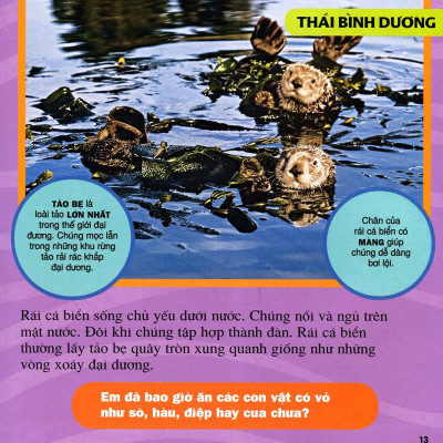 Cuốn Sách Lớn Đầu Tiên Của Tớ - Đại Dương - Bìa Cứng (Tái Bản 2024)