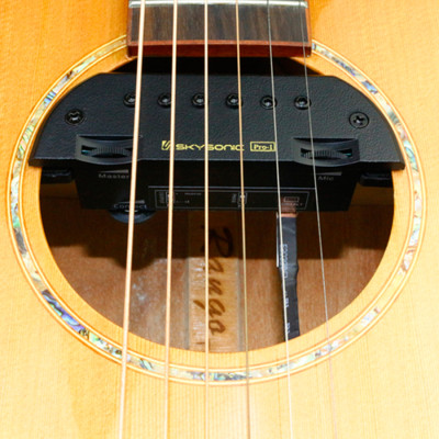 Bộ Thu Âm Acoustic Guitar Pickup Skysonic PRO-1