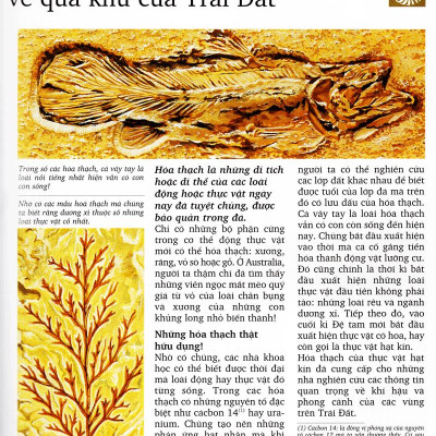 Kì Quan Thiên Nhiên (Tái Bản 2020)