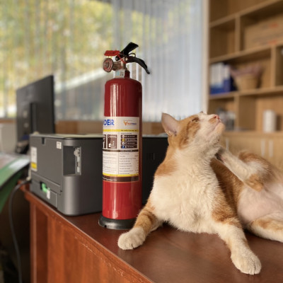 Bình chữa cháy cho xe oto/ bình chữa cháy xe điện có tem kiểm định ABC 1Kg Vinafoam