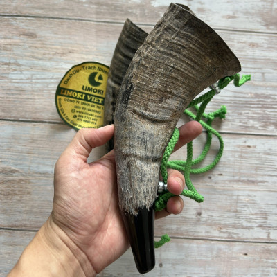 Tù Và Bằng Sừng Trâu Thô