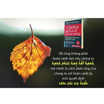 Combo Sách Tư Duy - Kỹ Năng Sống: Đắc Nhân Tâm (Bìa Cứng) + Quẳng Gánh Lo Đi Và Vui Sống (Bìa Cứng)