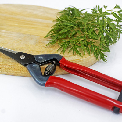 Kéo tỉa cành cao cấp Nhật Bản  Chikamasa T-55SC chiều dài lưỡi 48mm - lưỡi thép không gỉ chất lượng cao siêu bén - Cắt ngọt, không bám dính, liền sẹo nhanh