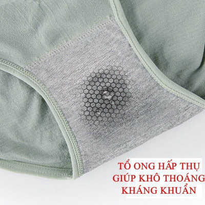 Quần Lót Ghen Bụng Định Hình Eo Thon Dáng Gọn Với Chíp Lượng Từ Điều Chỉnh Nhiệt Độ Mẫu Mới Nhất (WL81)