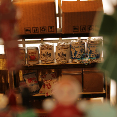 MÔ HÌNH MIỀN TÂY TỰ LẮP RÁP DIY - ĐIỆU HÒ PHƯƠNG NAM - MT02