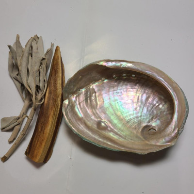 Sét thảo mộc thanh tẩy cơ bản với vỏ sò/ốc tự nhiên