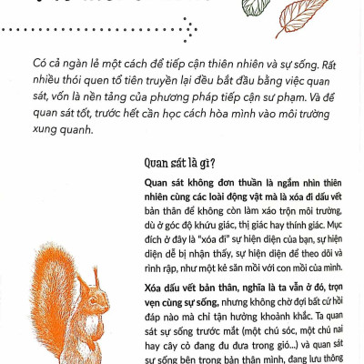 Sinh Tồn Giữa Thiên Nhiên Cẩm Nang Toàn Tập Về Dã Ngoại