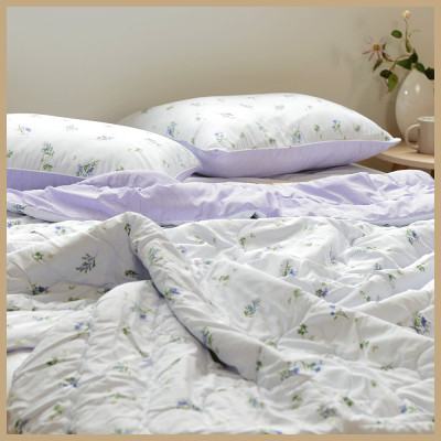 Chăn Chần Bông Arize Vải Microfiber Lauren 2mx2.3m