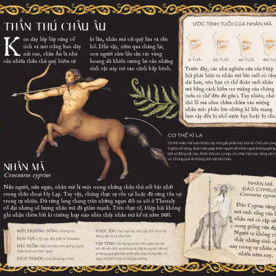 Sách - Cẩm Nang Về Sinh Vật Huyền Bí - Bìa Cứng