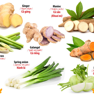 Từ Điển - Thư Viện hình Ảnh Đầu tiên Của Bé - Thế Giới Động Vật - Chữ Cái Và Số Đếm - Hoa Rau Củ Quả ( Bộ 3 cuốn )