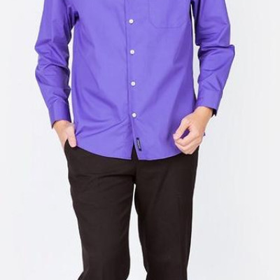 Áo sơ mi nam dài tay ALIGRO cổ bẻ dáng ôm body 100% chất cotton màu tím ALGS090