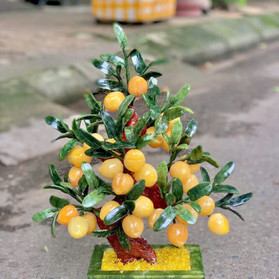 Cây đào phong thuỷ ngọc hoàng long 28 quả|phongthuygiaphat