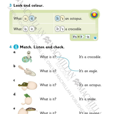Sách ngoại văn: American Grammar Goals: Student