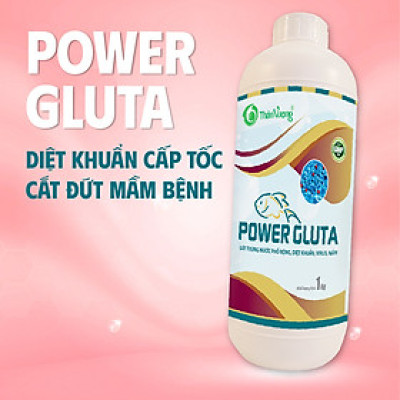 POWER GLUTA - Xử lý nước phổ rộng, diệt khuẩn, virus, nấm
